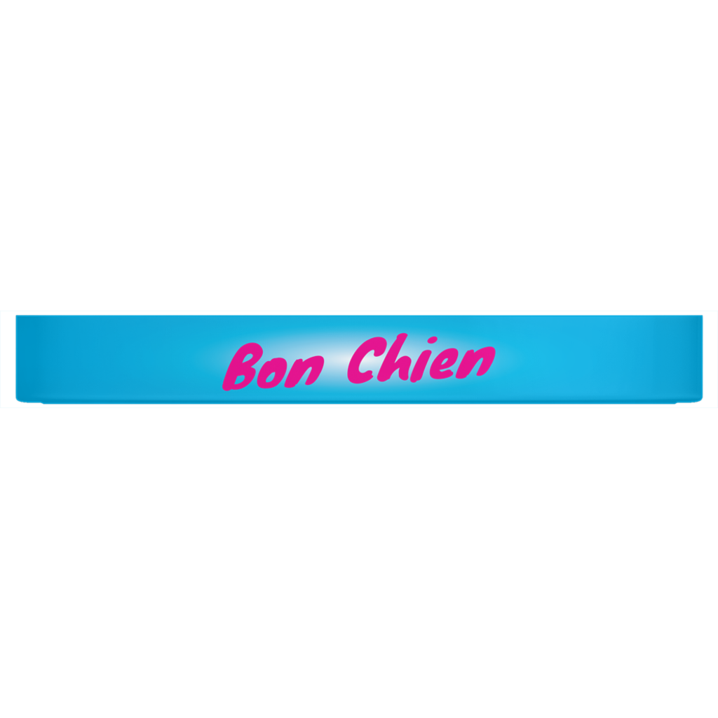 Bon Chien Dog Bowl